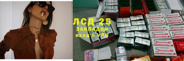 винт Магас