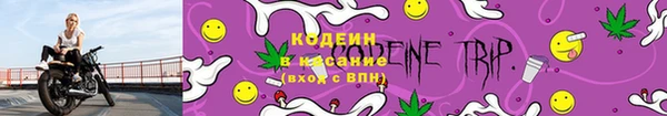 ECSTASY Майский