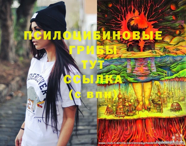 ECSTASY Майский