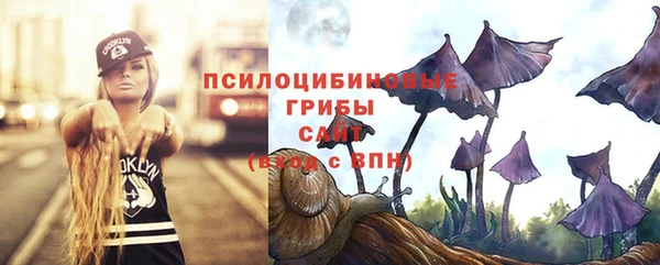 ECSTASY Майский