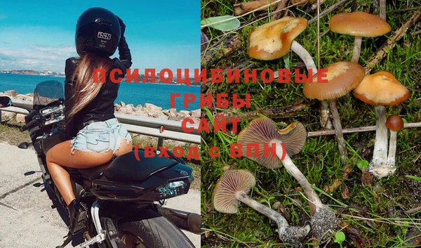 марки nbome Магадан